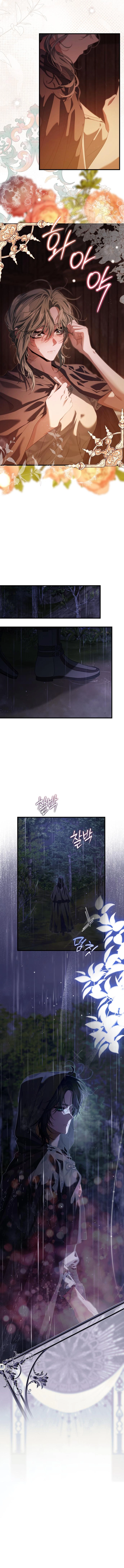 Chapter page 8
