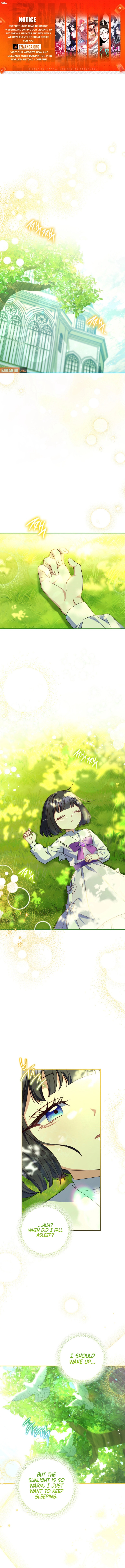 Chapter page 1