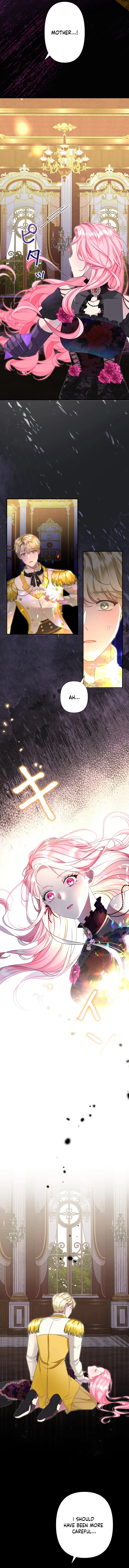 Chapter Image 4