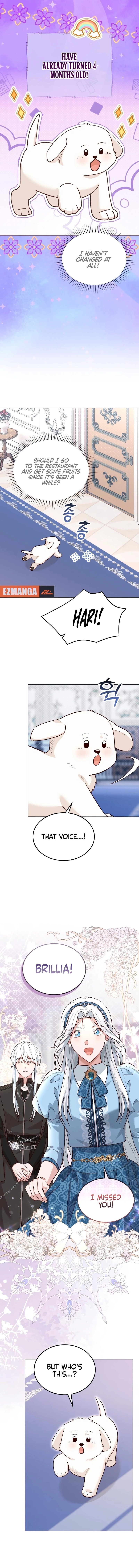 Chapter page 11