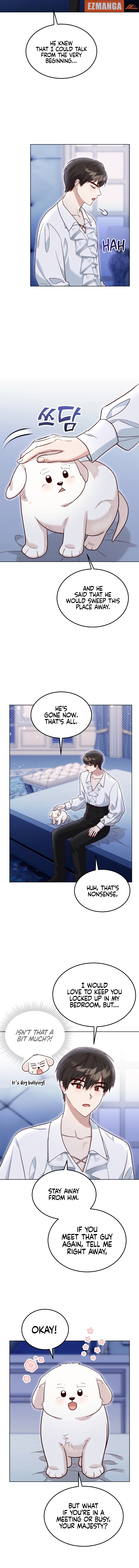 Chapter page 5
