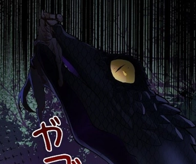 Chapter 17