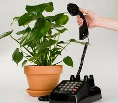 Phoneplant