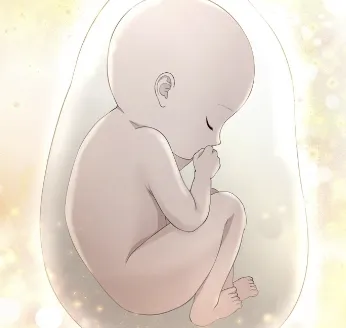 Chapter 42