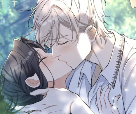 Chapter 26